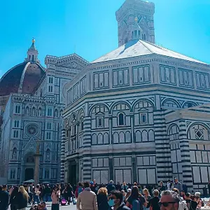 Bravo Horse Firenze